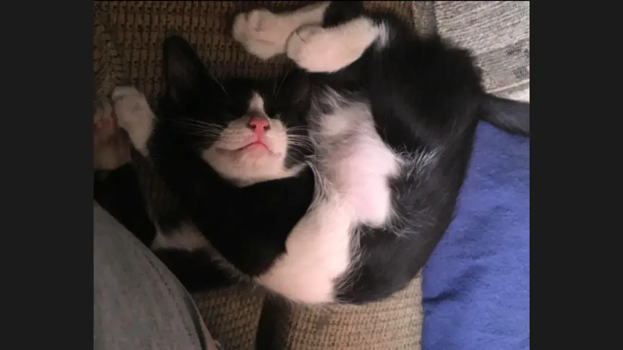 Sleeping in Twisted Positions
