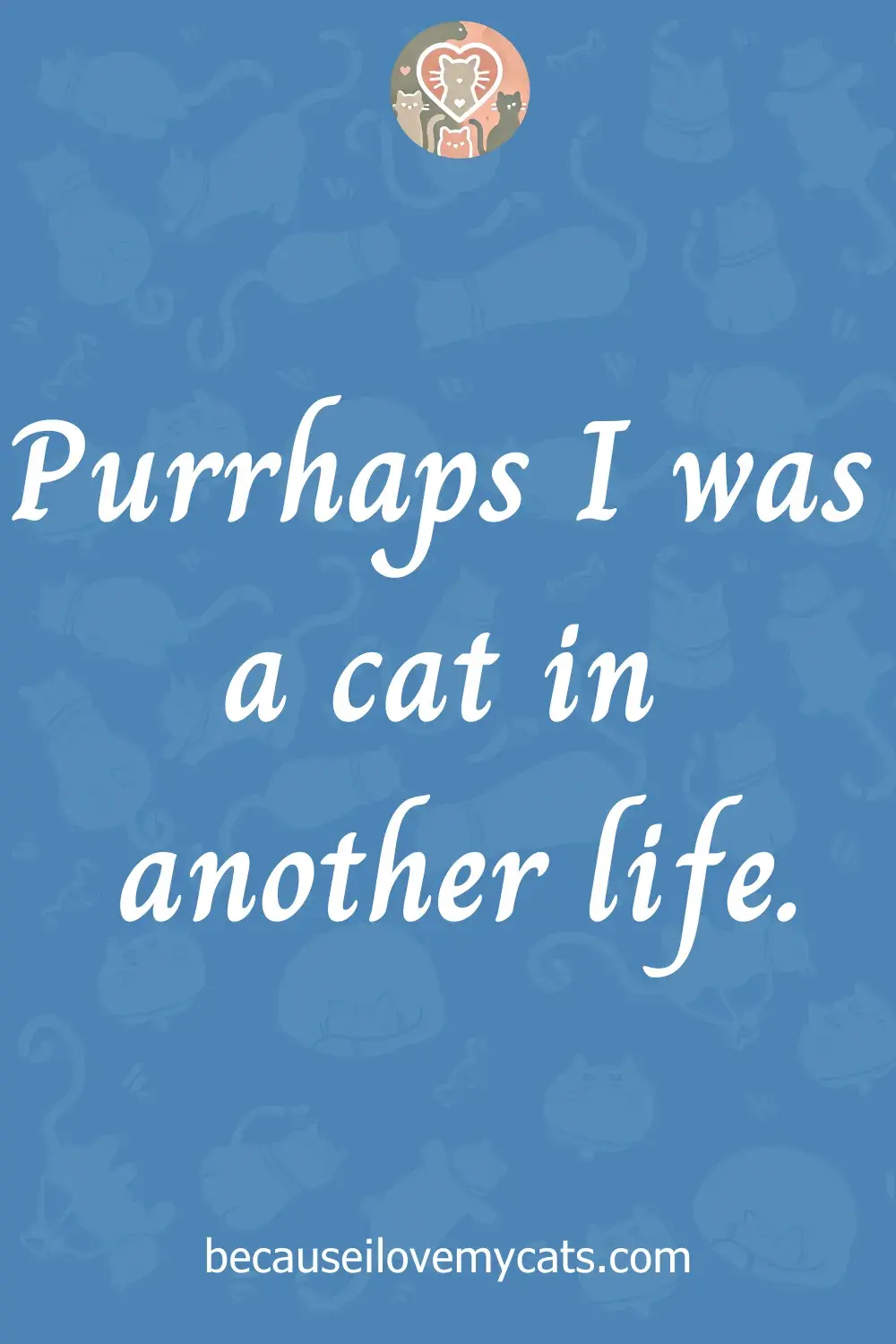 Purrhaps I was a cat in another life.