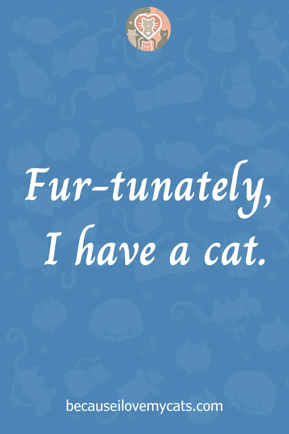 Fur-tunately, I have a cat.