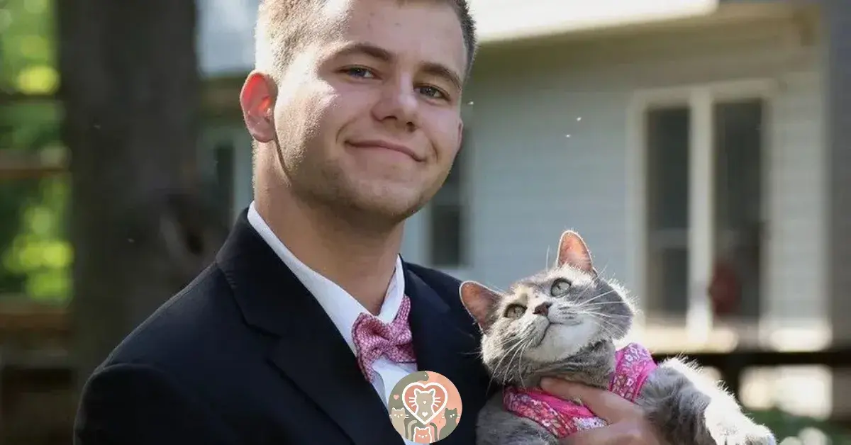 This guy took his cat to prom
